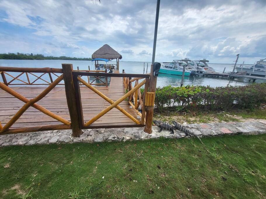 3 Rooms House At Side Of The Lagoon كانكون المظهر الخارجي الصورة