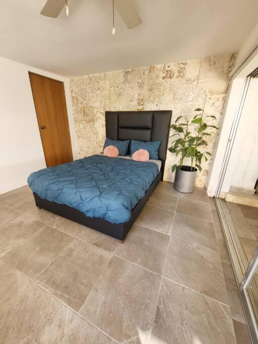 3 Rooms House At Side Of The Lagoon كانكون المظهر الخارجي الصورة
